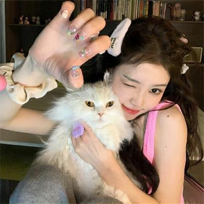 羊狼共和国:猪事大急